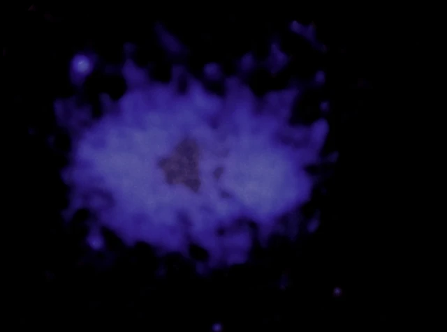 The X-ray-only view emphasizes the hot gas rather than the pink radio structure. Comparing the layers helps separate the collision evidence from the shape that supplied the nickname.